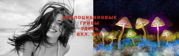 ПСИЛОЦИБИНОВЫЕ ГРИБЫ Зеленодольск